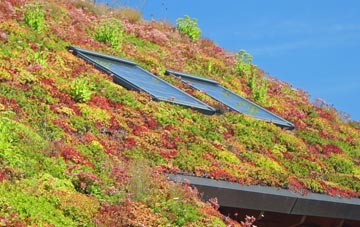 Holmcroft living roof systems