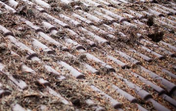 Holmcroft roof cleaning companies