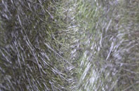 Holmcroft fibreglass roof work